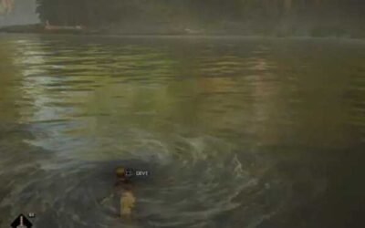 Cómo bucear bajo el agua en Hogwarts Legacy